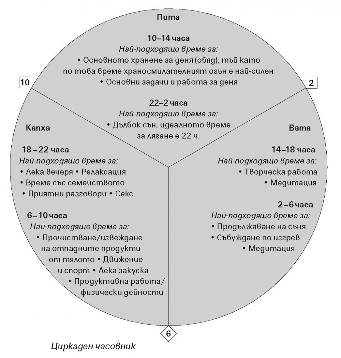 Diagram -Circadian clock