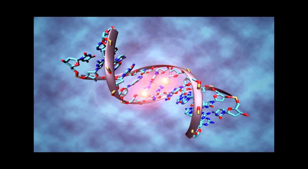 Embedded thumbnail for „Хюман дизайн: Книга на понятията“. Част 1.