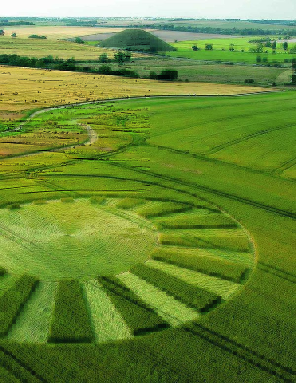 Сакралните послания в житните кръгове
