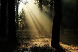 На пост и книги